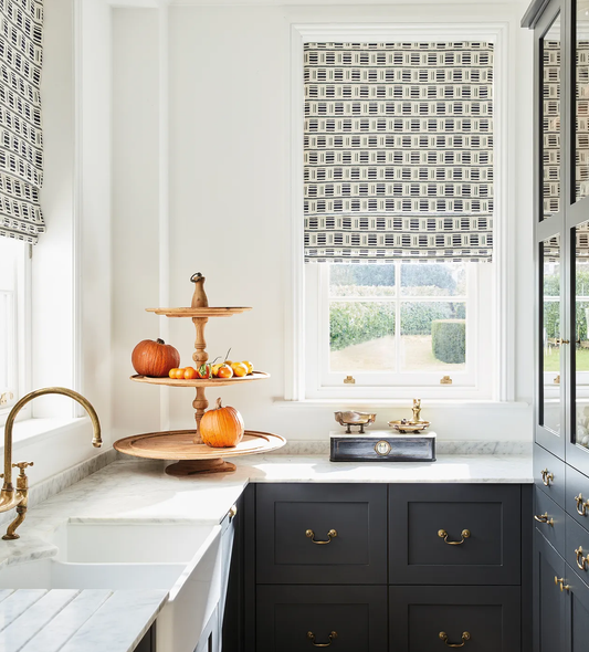 Black & White Roman Shades & Window Blinds: Top Ideas & Tips