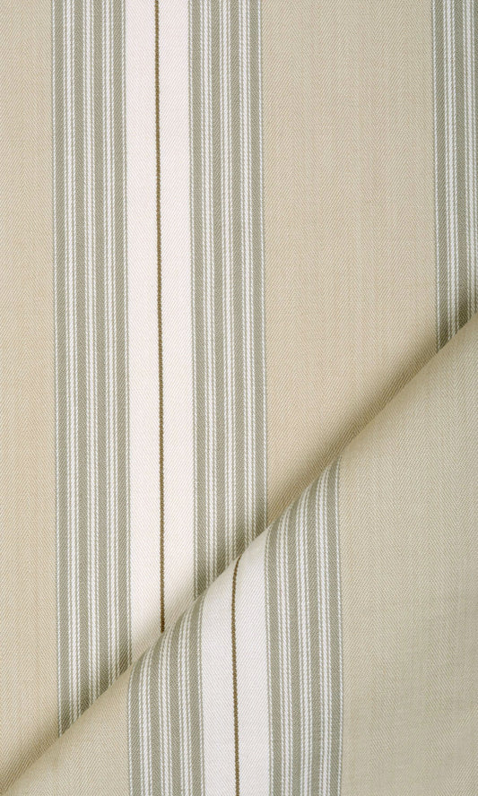 Cotton Shades (Beige/ White)