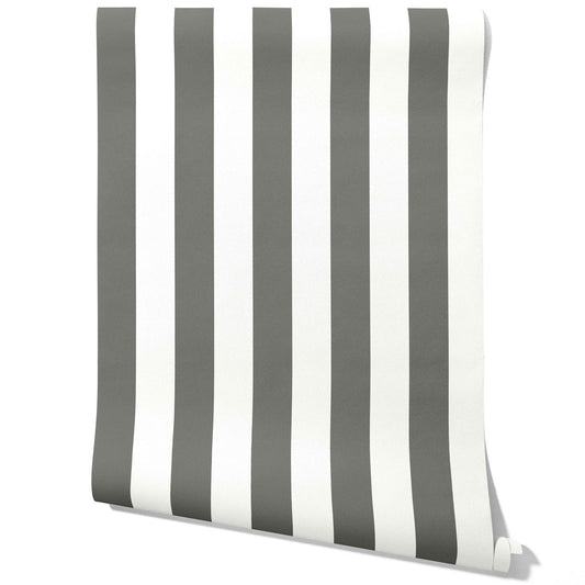 Neutral Geometric Striped Traditional Wallpaper (Dark Gray/ White)