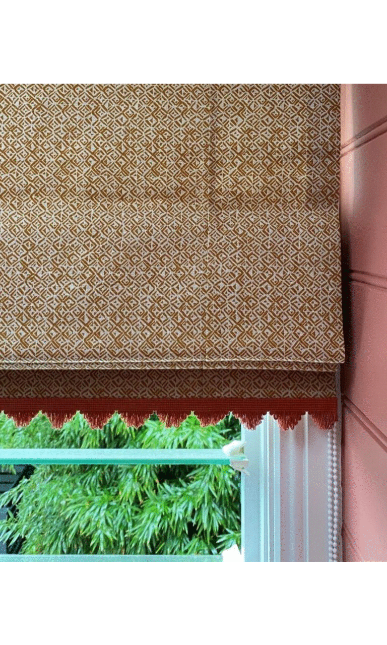 Window blinds with fringe trimming